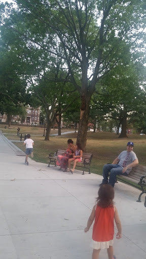 Park «Horatio Harris Park», reviews and photos, 85 Harold St, Boston, MA 02119, USA