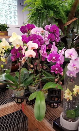 Florist «Sieck-Wright Floral Products», reviews and photos, 231 Monmouth St, Hightstown, NJ 08520, USA