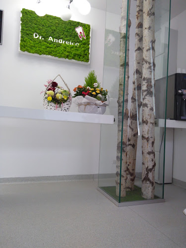 Clinica Stomatologica Andreica - Dentist