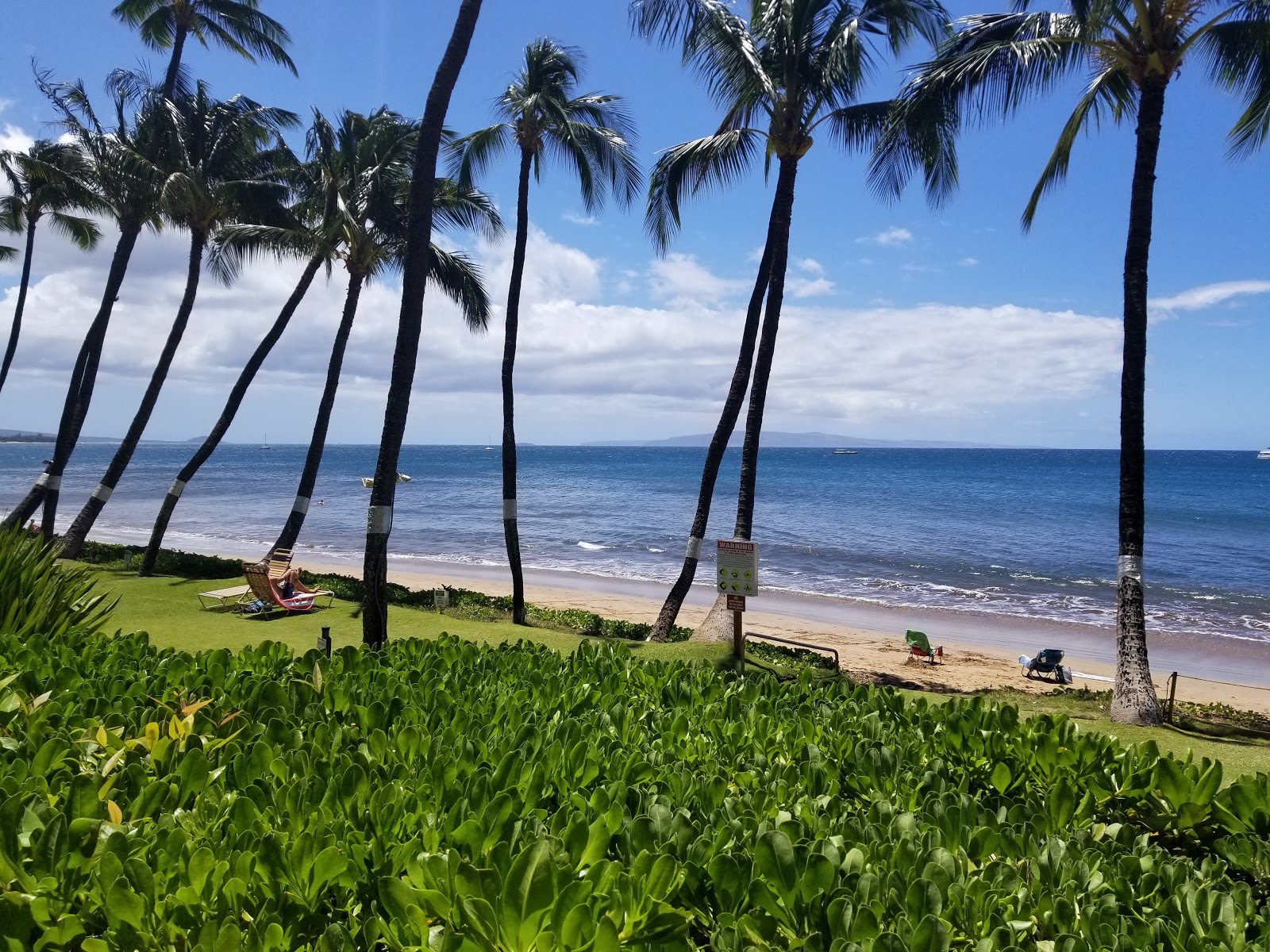 Foto af Jpcutsem beach vildt område