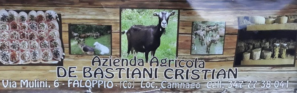 Azienda Agricola De Bastiani Cristian Via Mulini, 6, 22020 Camnago CO, Italia
