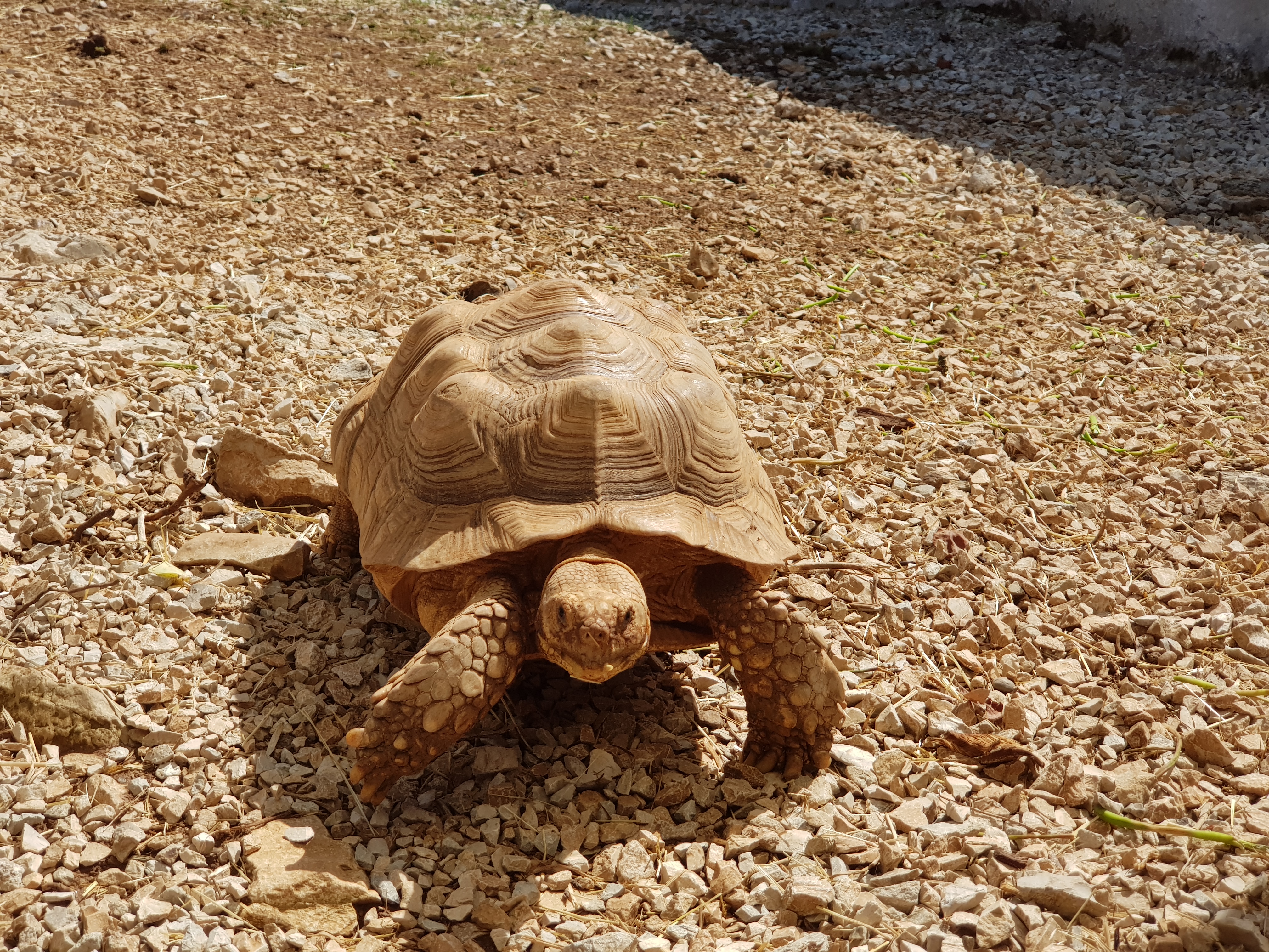 Photo n° 3 de l'avis de Coralie.u fait le 15/08/2023 à 14:53