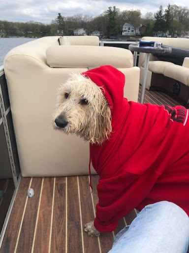 Roofing Contractor «Roof-Rite, Inc.», reviews and photos, 1036 Benstein Rd, Walled Lake, MI 48390, USA