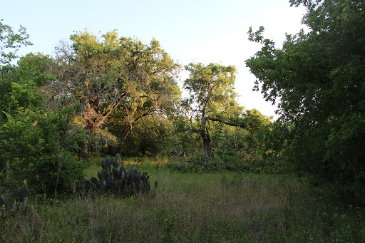 Nature Preserve «Jackson Nature Park», reviews and photos, 9284 County Rd 401, Stockdale, TX 78160, USA