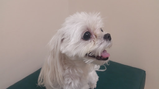 3820 Burns Rd, Palm Beach Gardens, FL 33410, USA