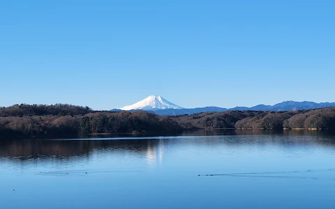 Sayama Lake image
