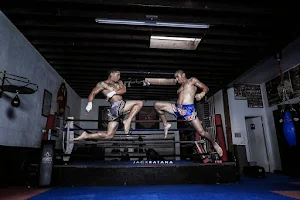Muay Thai America Gym image