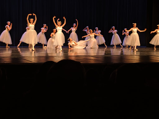 Performing Arts Theater «Jane Tasch Performing Arts Theatre», reviews and photos, 2100 E Michigan 36, Pinckney, MI 48169, USA