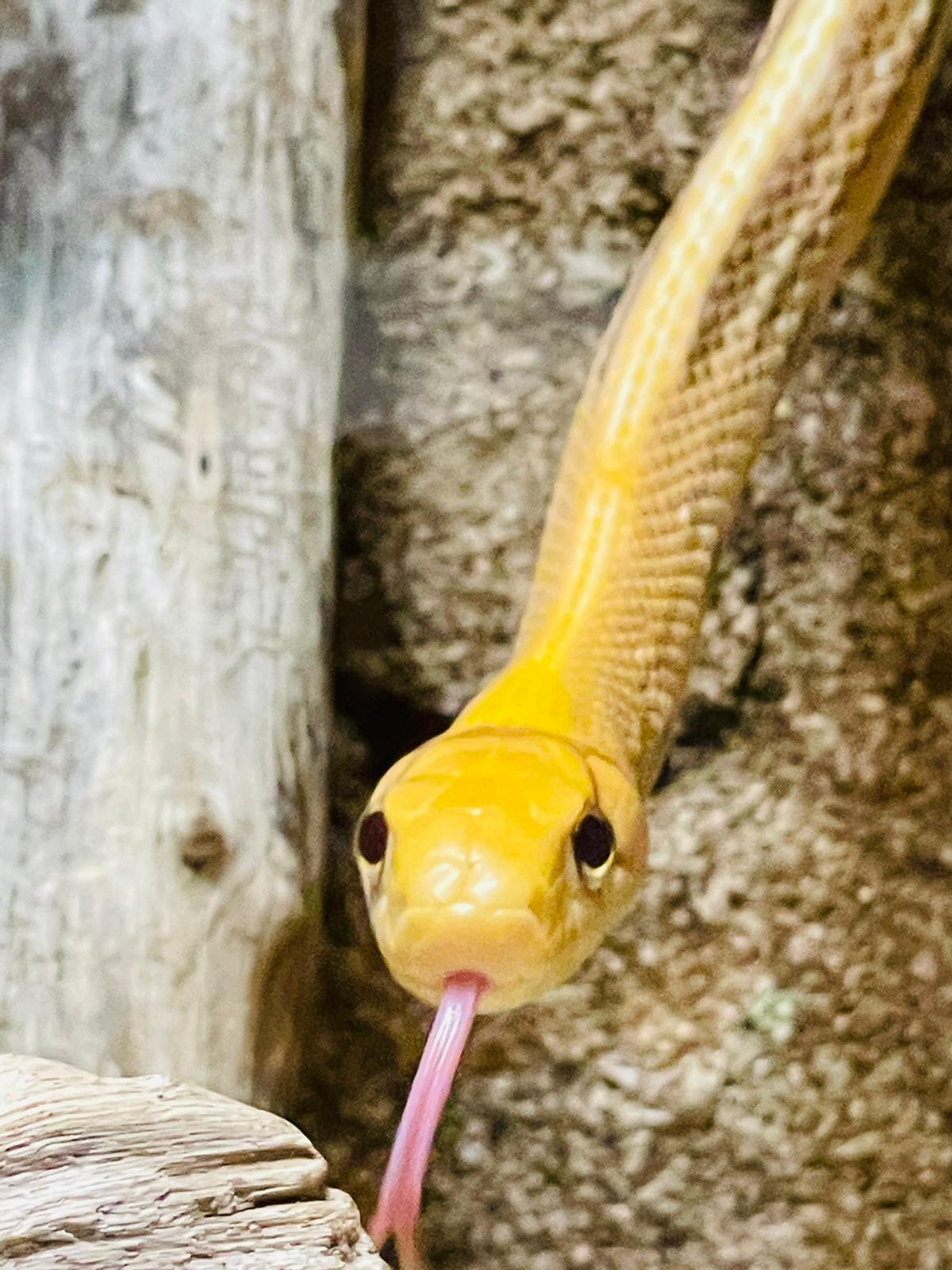 Photo n° 2 de l'avis de Marie.r fait le 11/06/2022 à 17:39