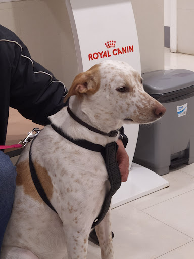 Hospital Veterinario Of The University Of Zaragoza en Zaragoza