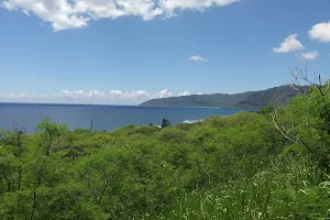 Mākua Keaʻau Forest Reserve image