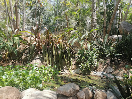 Jardín Botánico de Acapulco