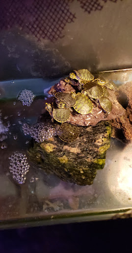 Pet Store «Wet Pets», reviews and photos, 3010 McGehee Rd, Montgomery, AL 36111, USA