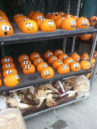 Home Improvement Store «The Home Depot», reviews and photos, 254 Larkin Dr, Monroe, NY 10950, USA