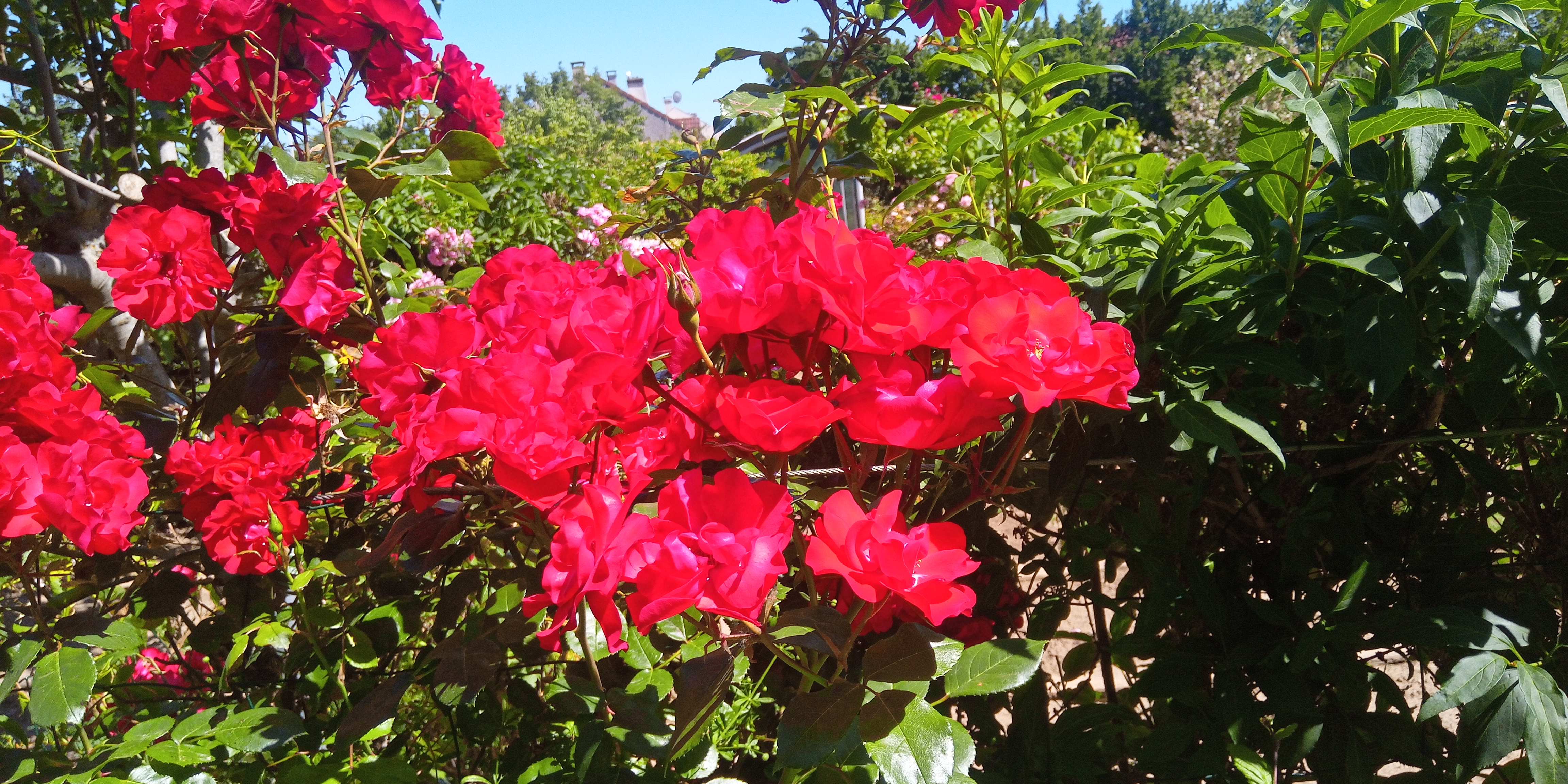 Photo n° 15 de l'avis de Didier.a fait le 29/05/2020 à 14:18