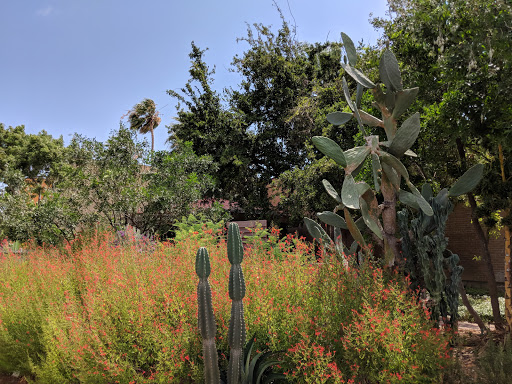 Art Museum «The Art Museum of South Texas», reviews and photos, 1902 N Shoreline Blvd, Corpus Christi, TX 78401, USA