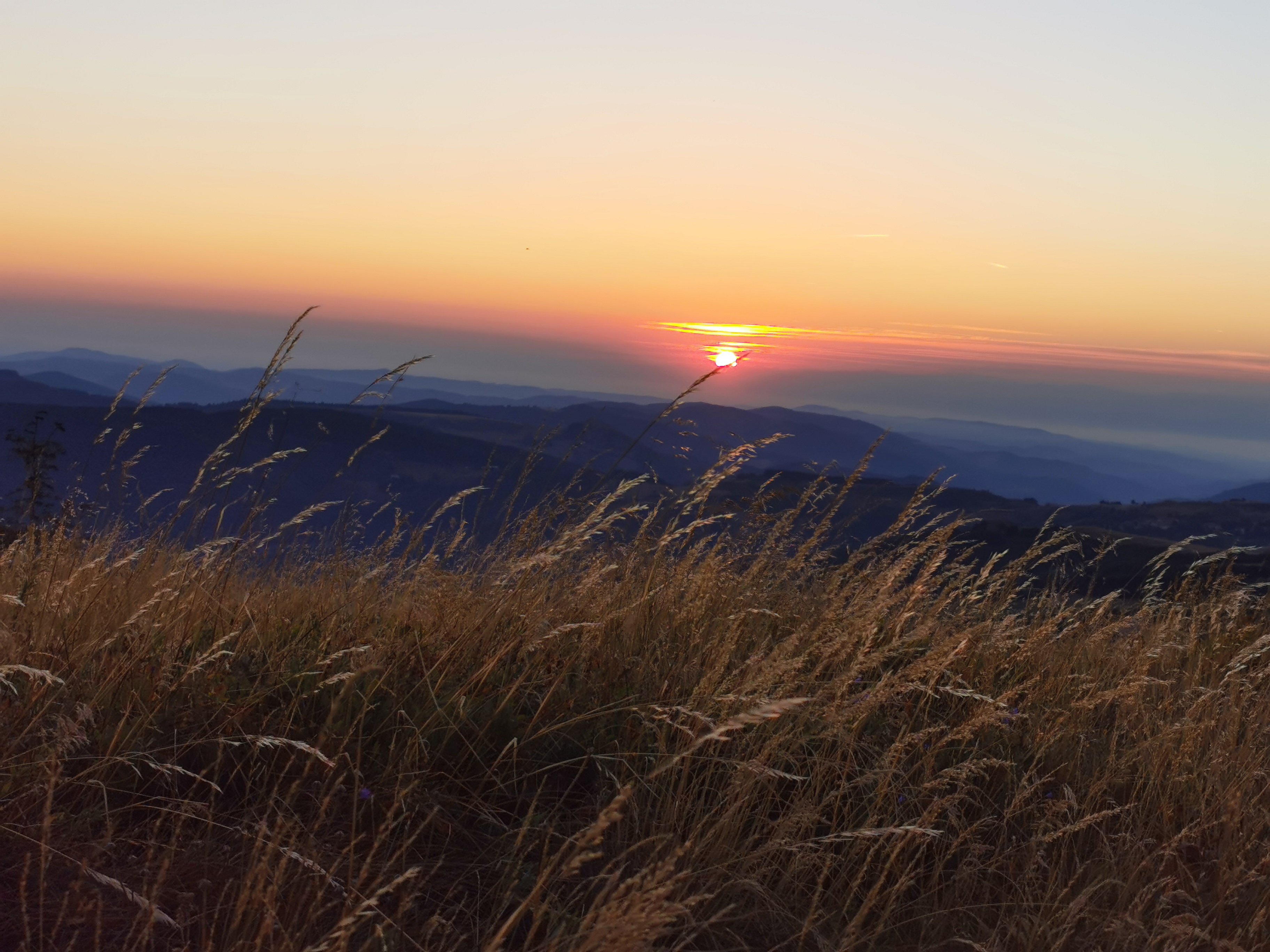 Photo n° 3 de l'avis de michael.o fait le 14/08/2022 à 07:59