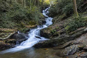 Roaring Fork Falls Trailhead image