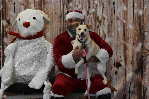 Pet Supply Store «Thomaston Feed of Cheshire», reviews and photos, 851 S Main St, Cheshire, CT 06410, USA