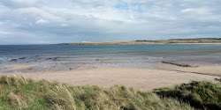 Sandside Bay Beach'in fotoğrafı çok temiz temizlik seviyesi ile