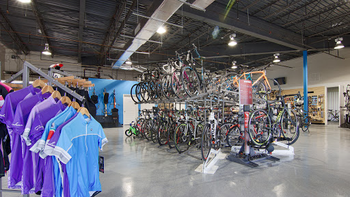 Bicycle Store «Coastline Cyclery», reviews and photos, 10676 Colonial Blvd #50, Fort Myers, FL 33913, USA