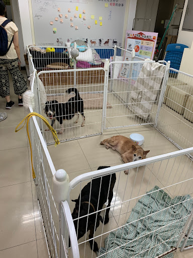 Taipei City Animal Protection Office