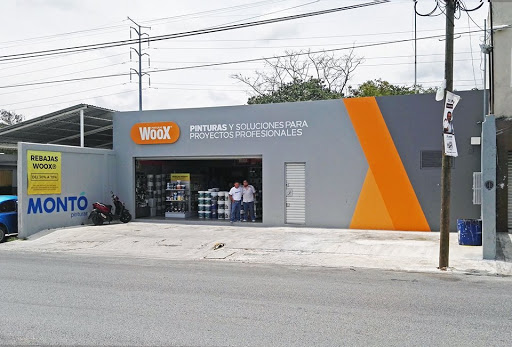 Woox® Pinturas Cancún