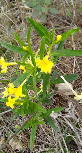 Park «Wild Basin Wilderness Preserve», reviews and photos, 805 N Capital of Texas Hwy, Austin, TX 78746, USA