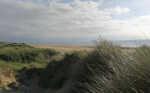 Ainsdale Pine Woods image