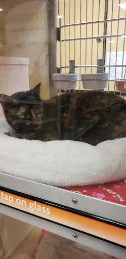 Pet Supply Store «PetSmart», reviews and photos, 2901 Texas Sage Trail, Fort Worth, TX 76177, USA