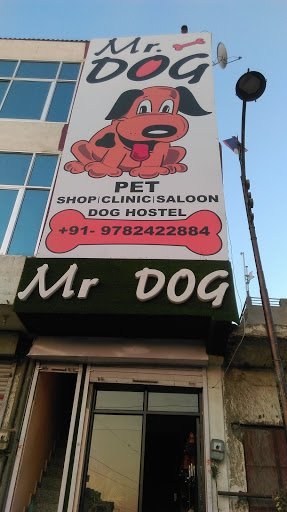 Mister Dog Pet Shop - Dog Shop In Jaipur
