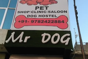 Mister Dog Pet Shop - Dog Shop In Jaipur image