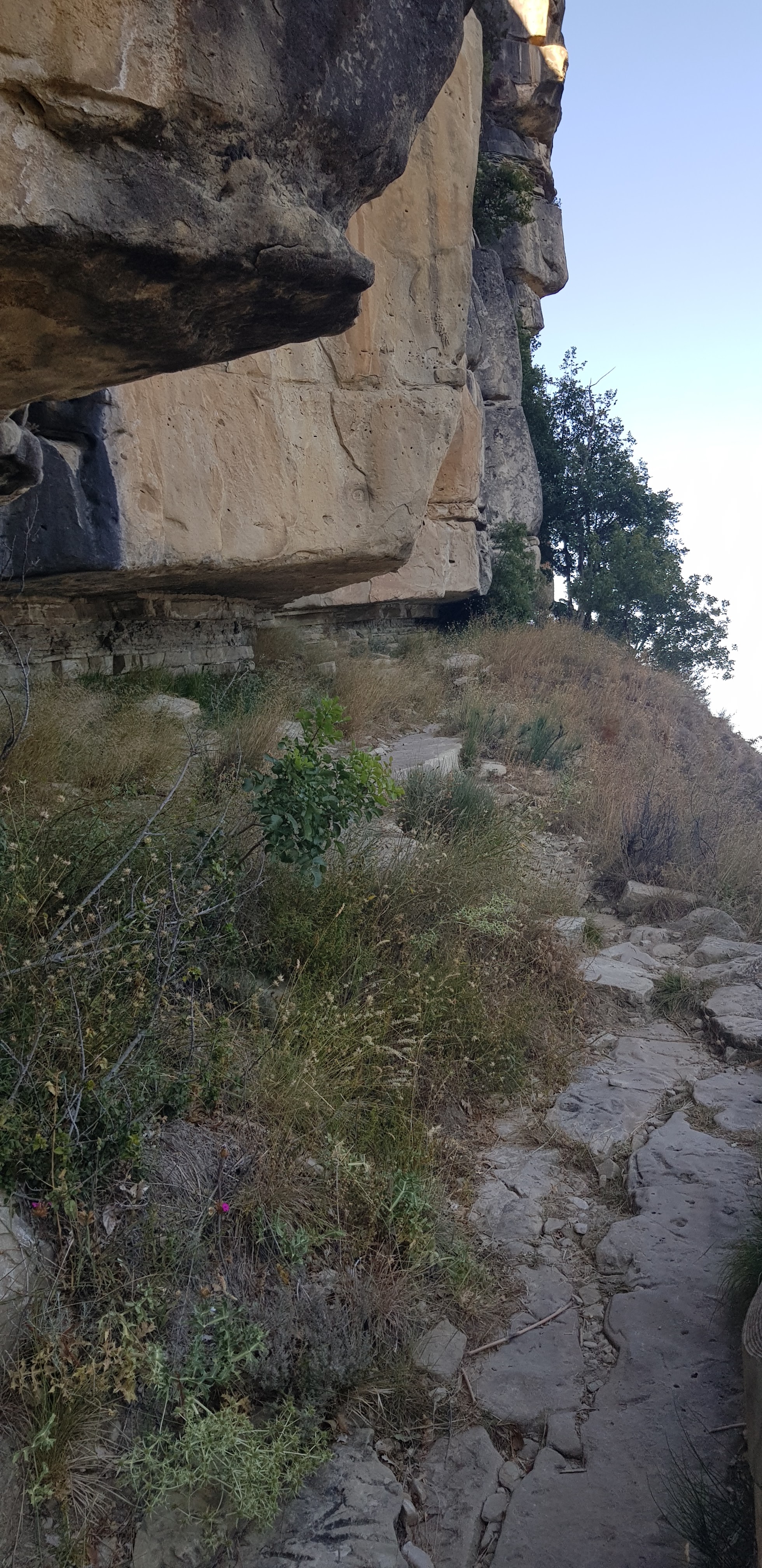 Photo n° 2 de l'avis de Yves.e fait le 05/08/2020 à 20:04