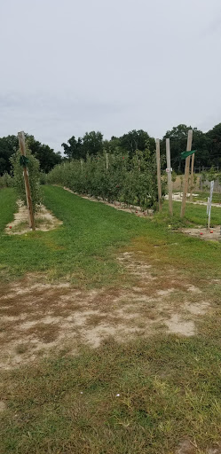 Farm «Giamarese Farm & Orchards», reviews and photos, 155 Fresh Ponds Rd, East Brunswick, NJ 08816, USA