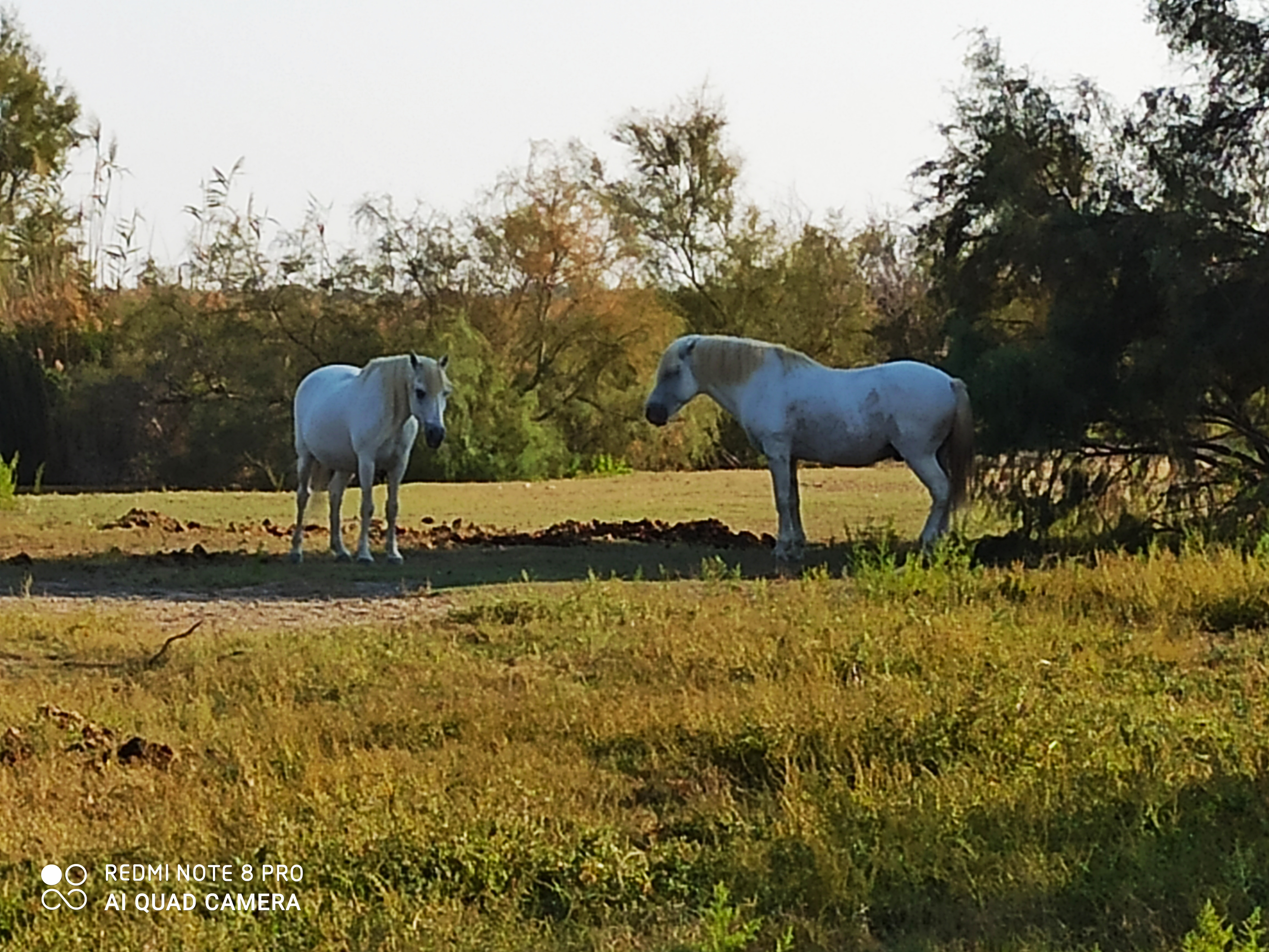 Photo n° 2 de l'avis de Patrick.e fait le 15/09/2020 à 16:55