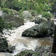 Yellow Creek Falls