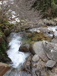 Бистришки водопад