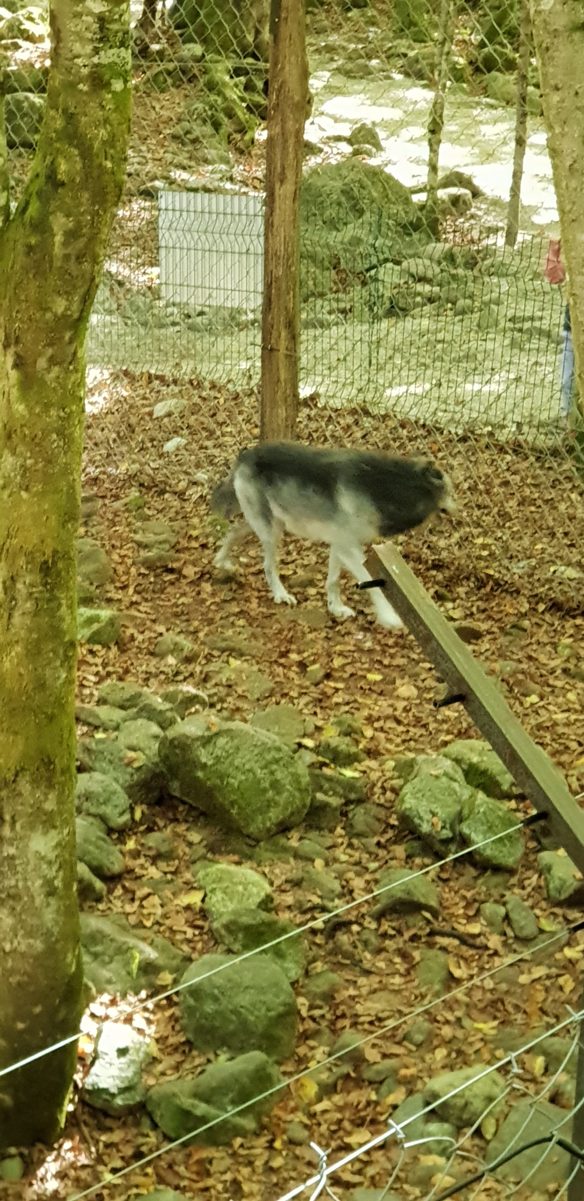 Photo n° 13 de l'avis de Christophe.e fait le 26/09/2018 à 10:29