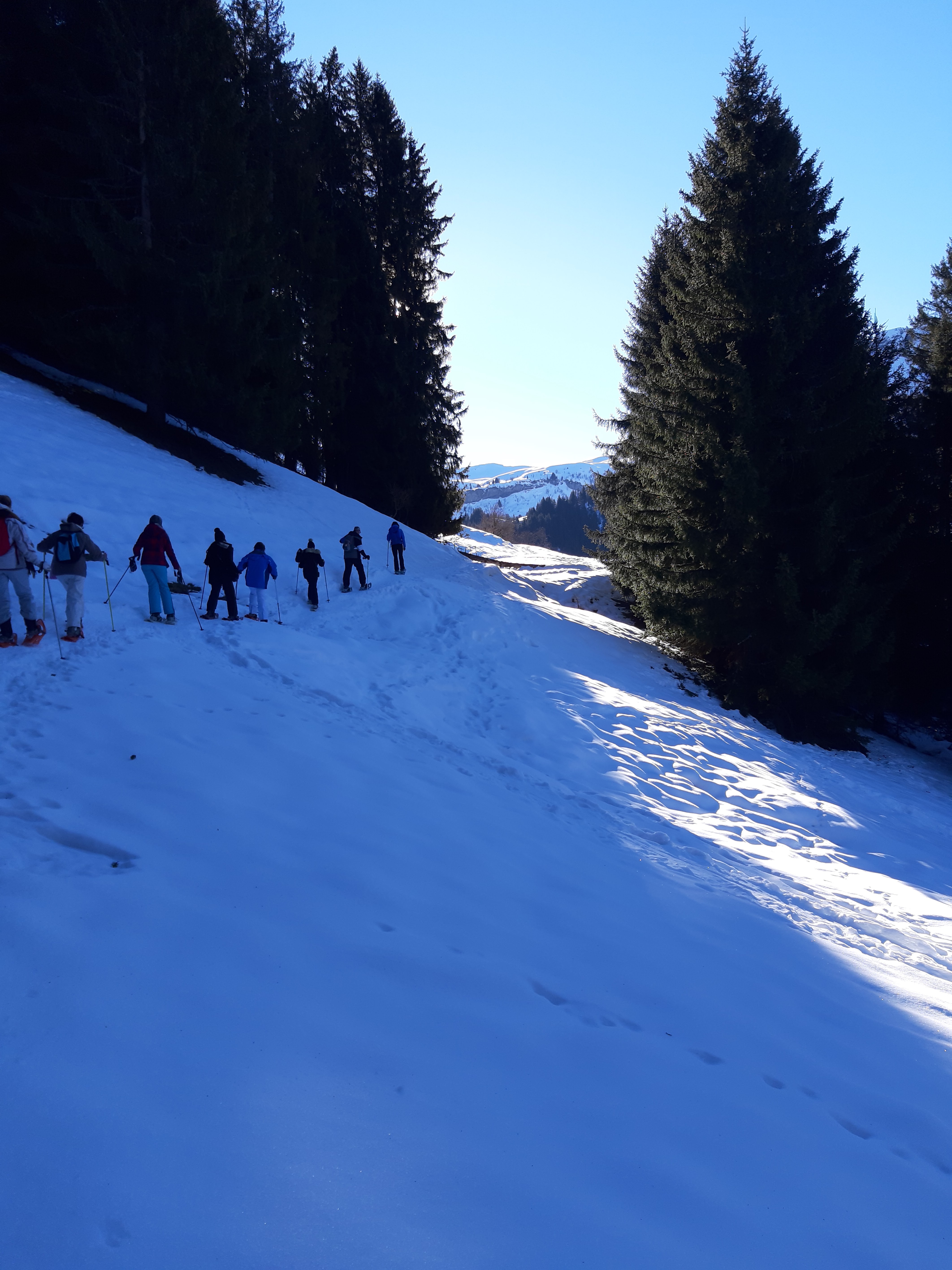 Photo n° 2 de l'avis de LABIDOIRE.a fait le 26/01/2020 à 21:31