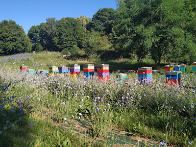 Le rucher de l'Amoureix à Ternant-les-Eaux