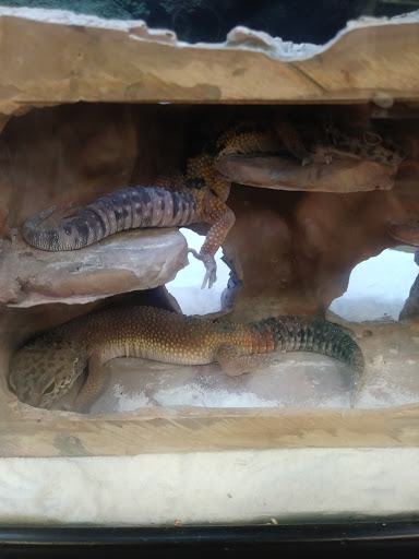 Pet Supply Store «Petco Animal Supplies», reviews and photos, 1820 N Tomahawk Island Dr, Portland, OR 97217, USA