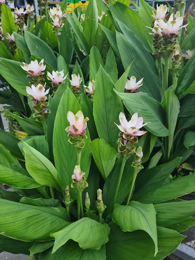 Home Improvement Store «The Home Depot», reviews and photos, 20 Gateway Village Rd, Bluffton, SC 29910, USA