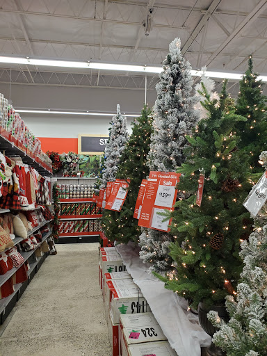 Craft Store «Michaels», reviews and photos, 4400 Fort Jackson Blvd #200, Columbia, SC 29209, USA