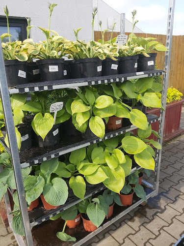 Centrum Ogrodnicze Premium Garden - Ogrodnik