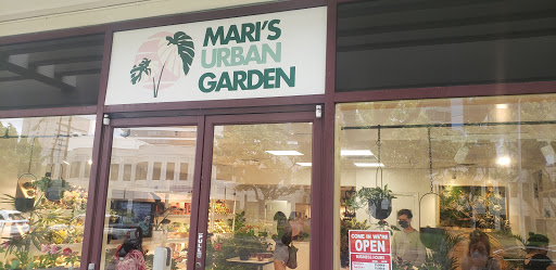 Mari’s Urban Garden