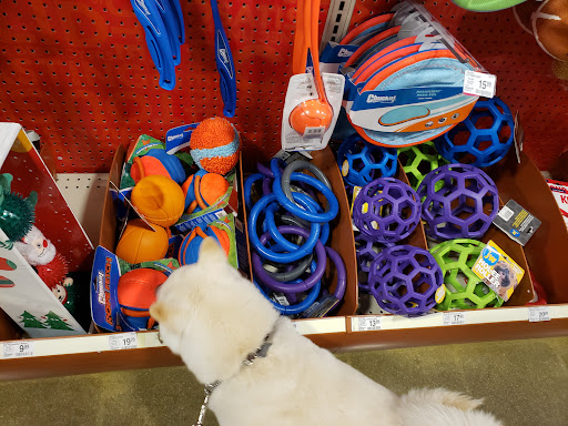 Pet Supply Store «PetSmart», reviews and photos, 4794 Jimmy Lee Smith Pkwy #108, Hiram, GA 30141, USA