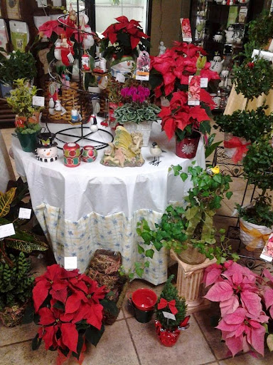 Florist «Forget-Me-Not Florist», reviews and photos, 1083 Park Ave, Cranston, RI 02910, USA