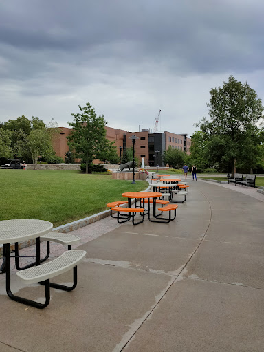 University «Rochester Institute of Technology», reviews and photos