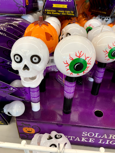 Dollar Store «Dollar Tree», reviews and photos, 1044 S Main St, Chelsea, MI 48118, USA