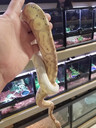 Pet Store «Gills And Thrills Pet Shop», reviews and photos, 204 E 8th St, Lockport, IL 60441, USA